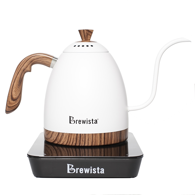 brewista gooseneck kettle