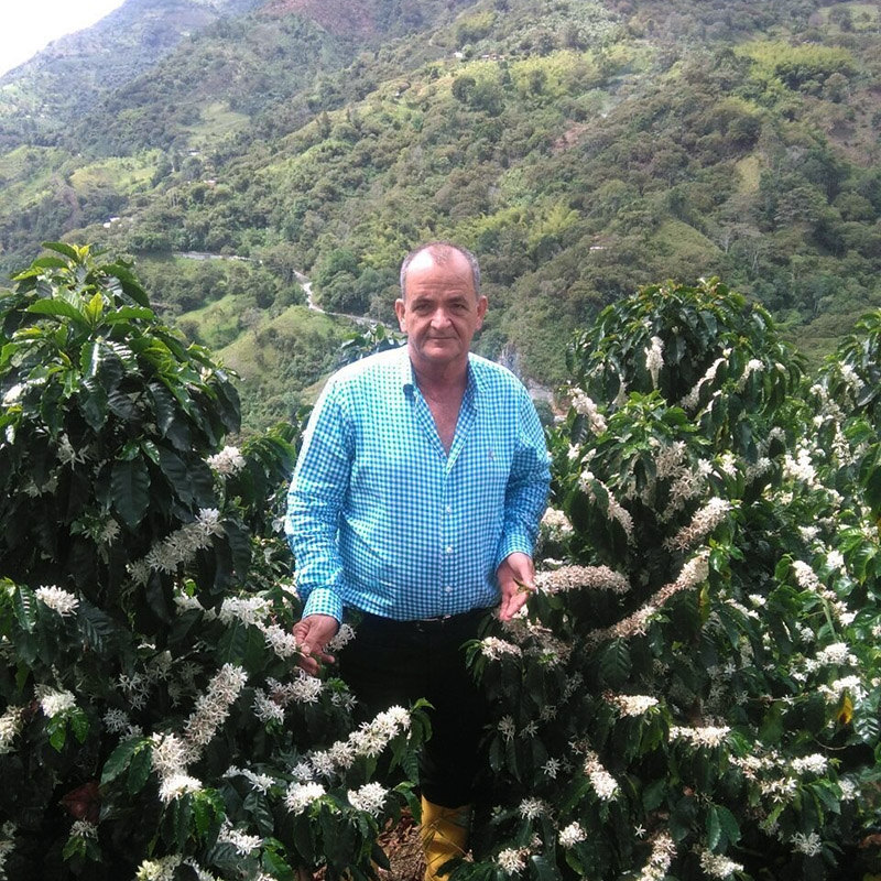 Finca Palmichal  - Colombia (story)
