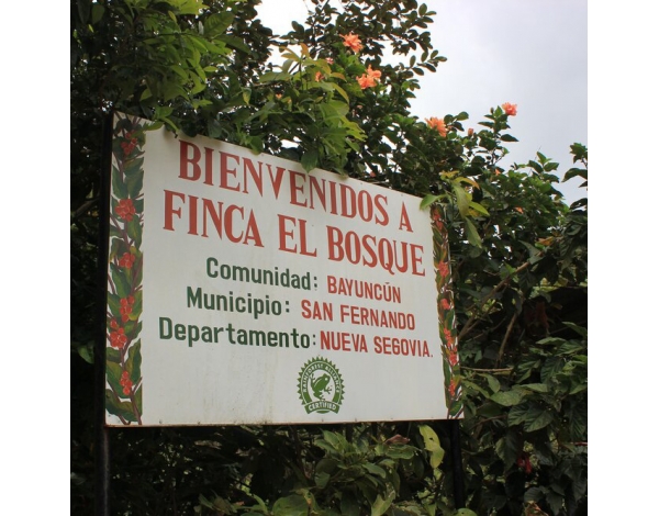 El Bosque (Nicaragua) - Product