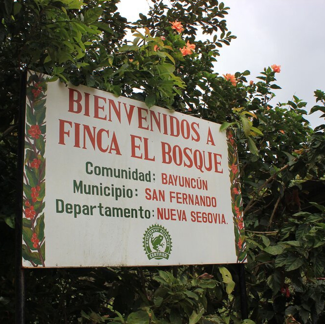 El Bosque (Nicaragua) - story