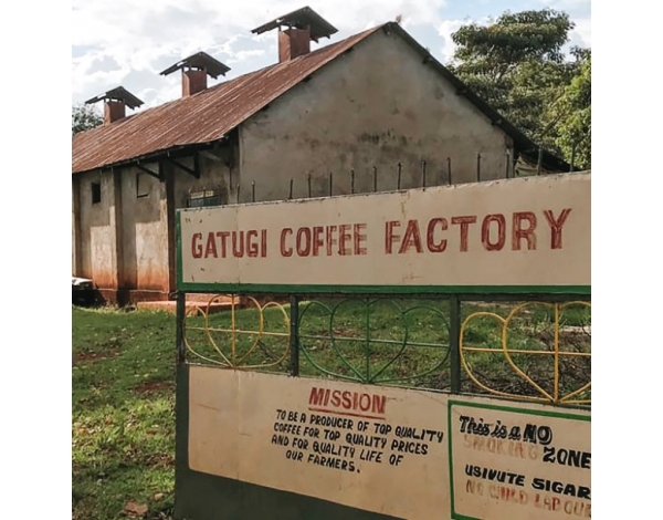 Gatugi, AA selection (Kenya) - product