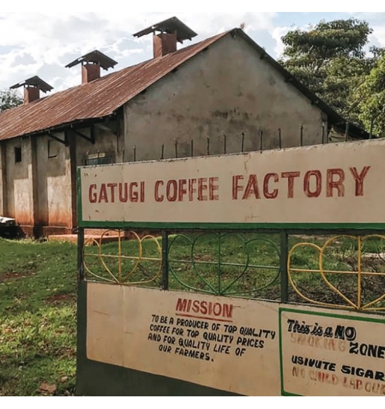 Gatugi, AA selection (Kenya) - product