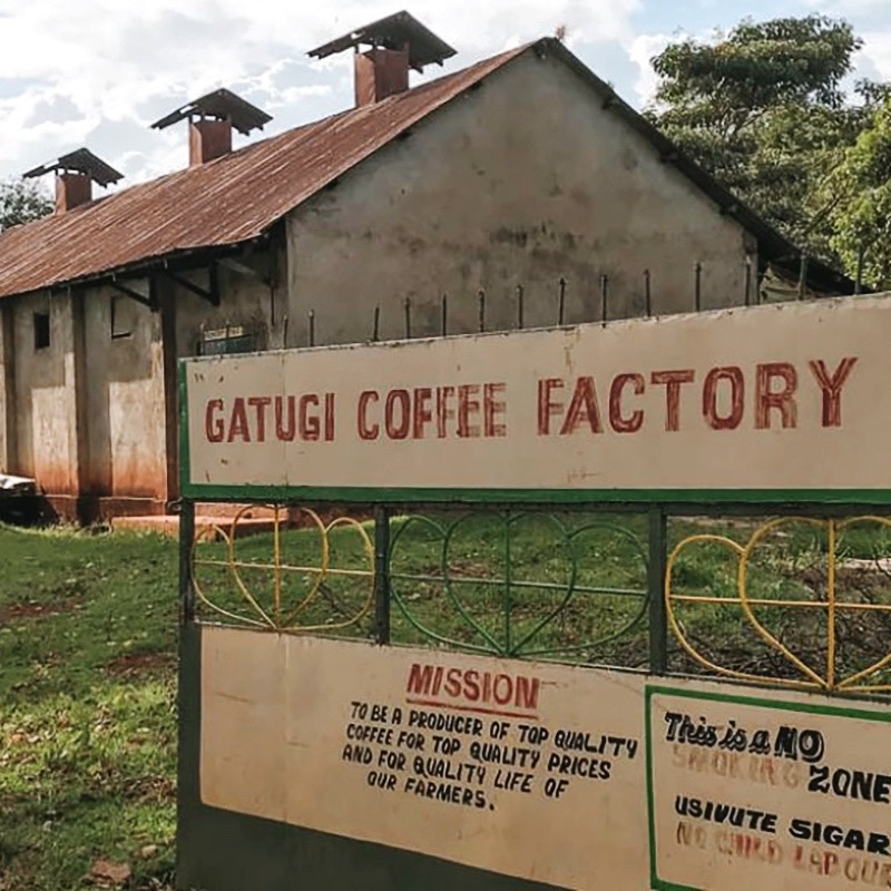 Gatugi, AA selection (Kenya) - story