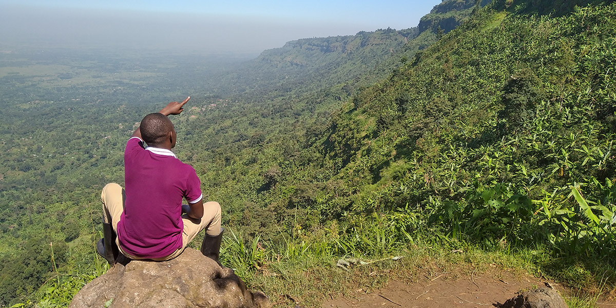 Gombe, Mount Elgon A+ (Uganda), story