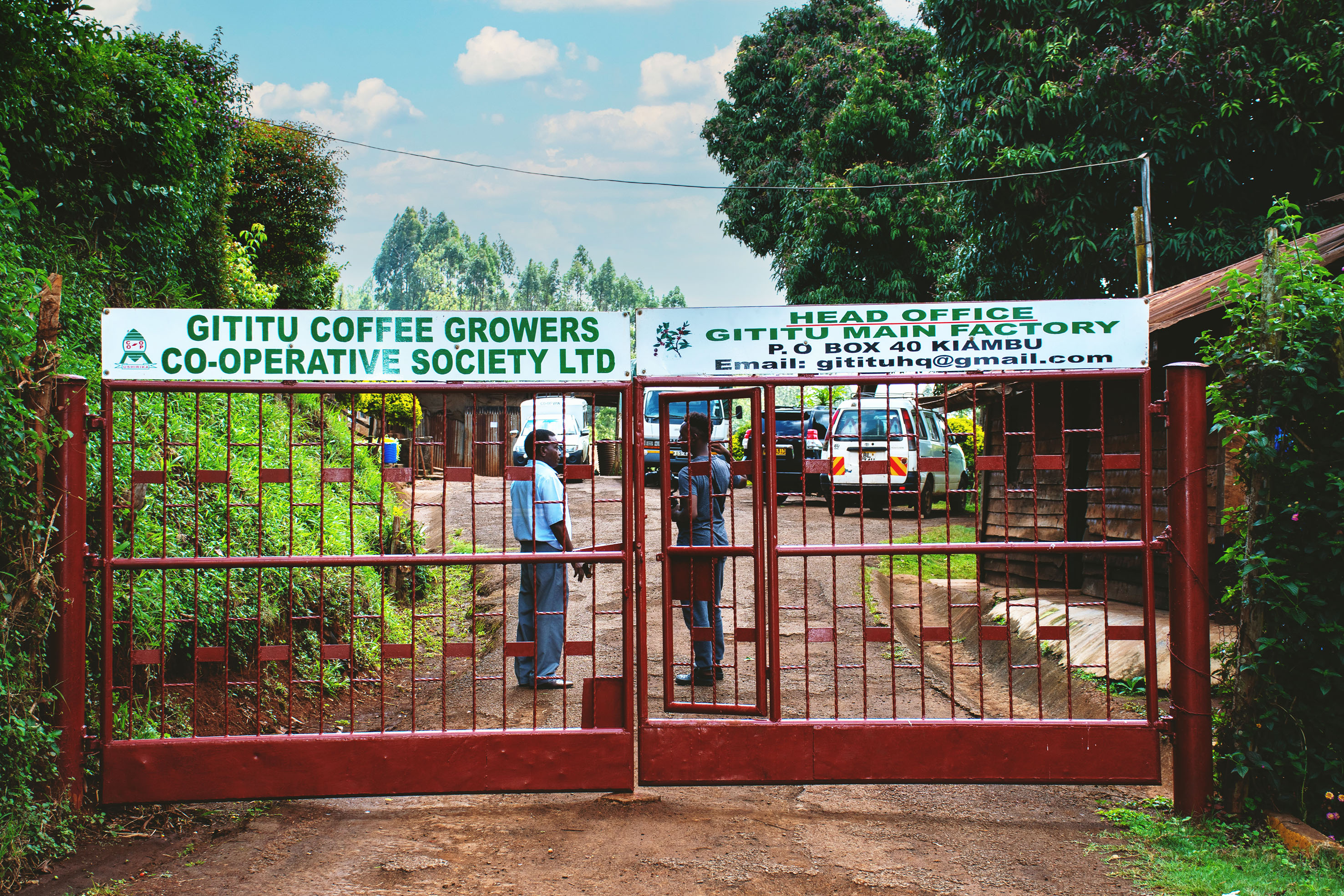 Gititu AA (Kenya), Story