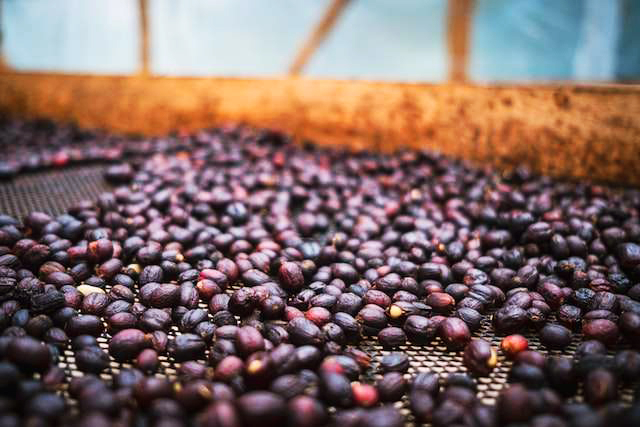 Fazenda Santa Margarida (Brazil) Fermentation