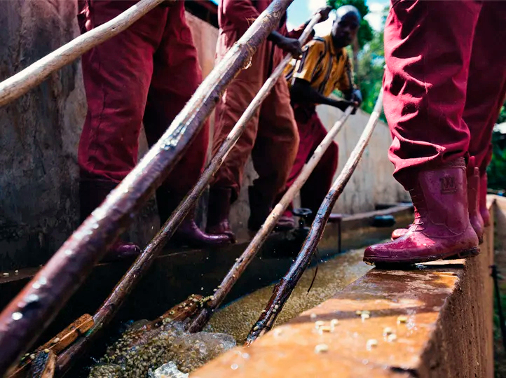 Worka Wuri (Ethiopia) Process