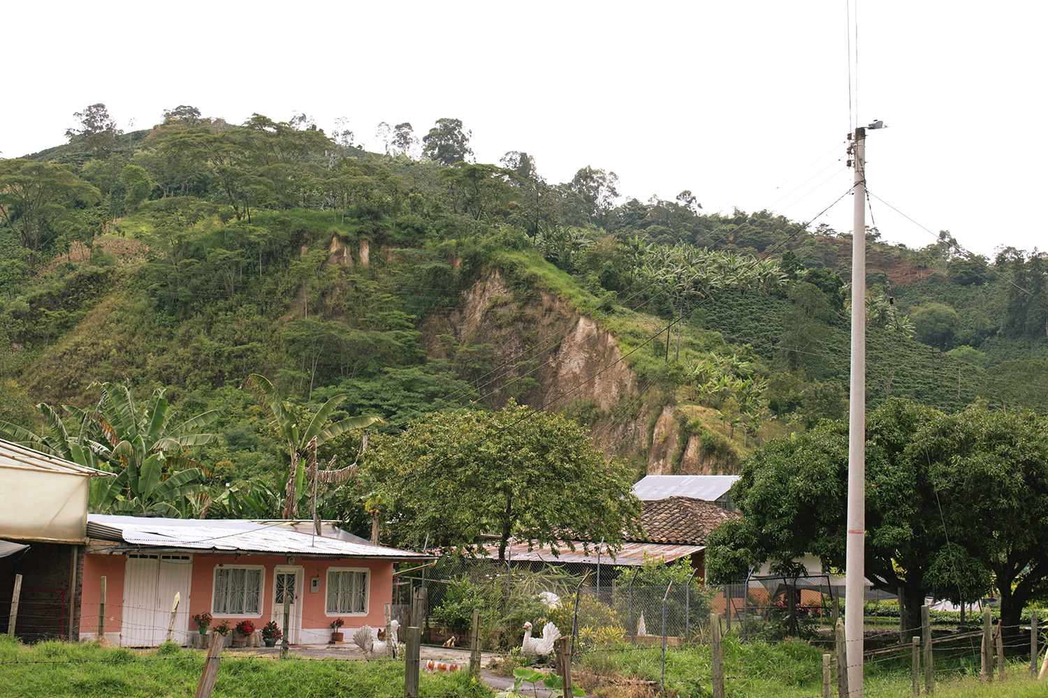 El Desarrollo (Colombia) Story