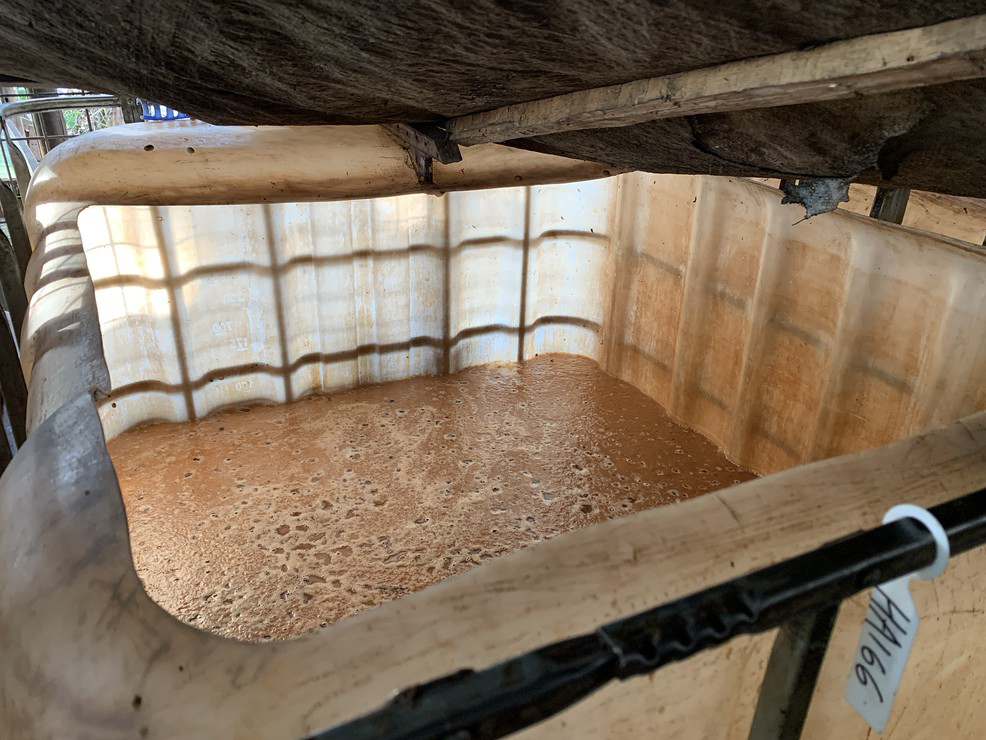 Fermentation