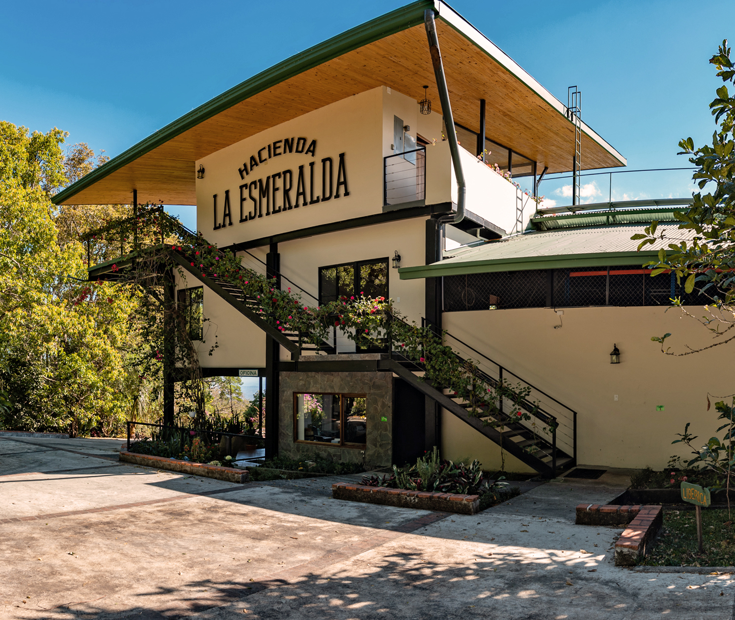 Hacienda La Esmeralda, Montaña 4 NC (Panama)