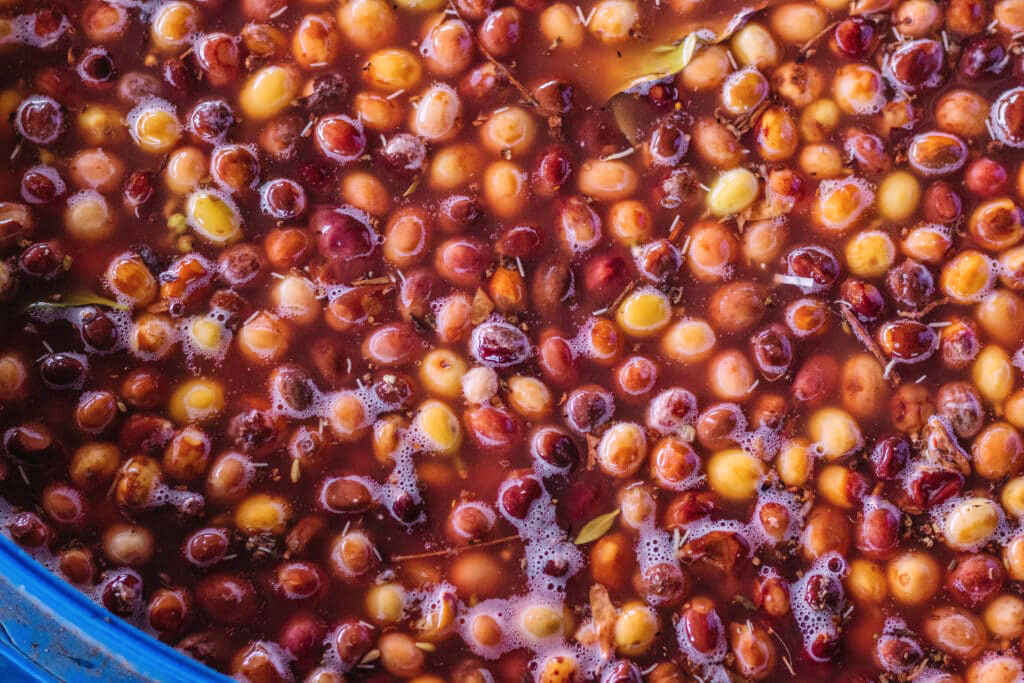 Fermentation