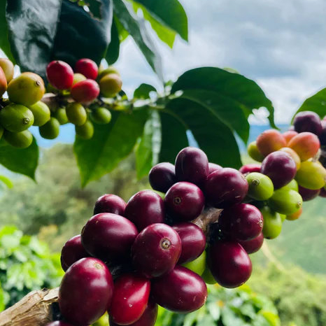 El Silencio (Colombia)