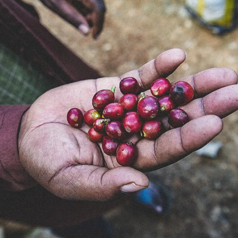 Mukunga (Kenya)