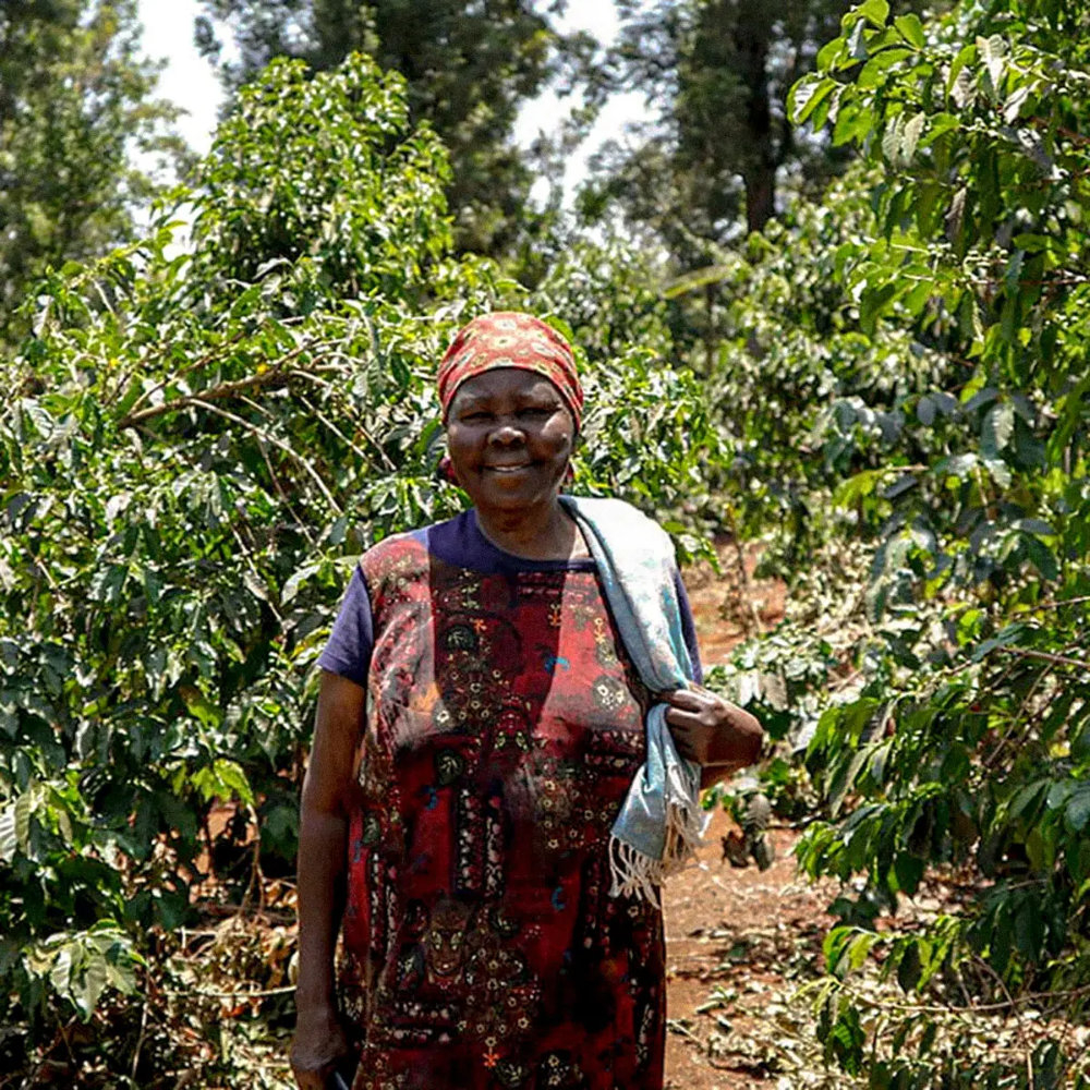 Mukunga (Kenya)
