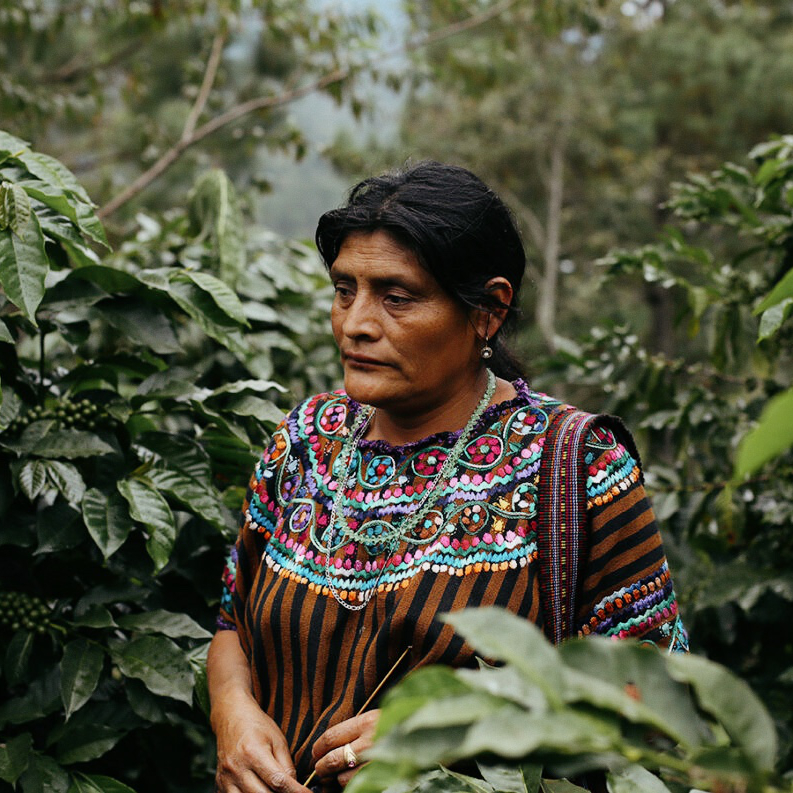La Morena (Guatemala)