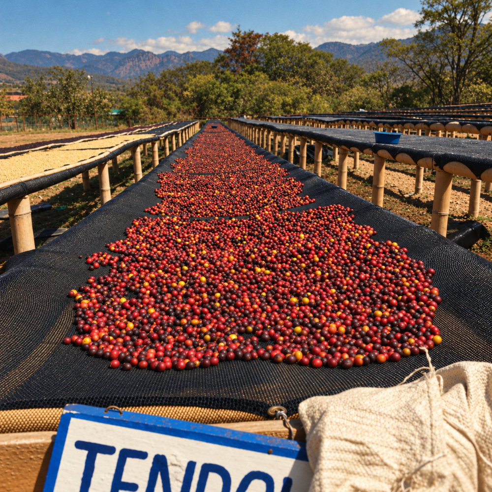 Finca Las Nubes (El Salvador)
